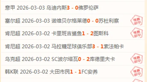 DECATHLON蛰伏两年后重启，11月连续开设三店并扩大HOKA品牌门店布局